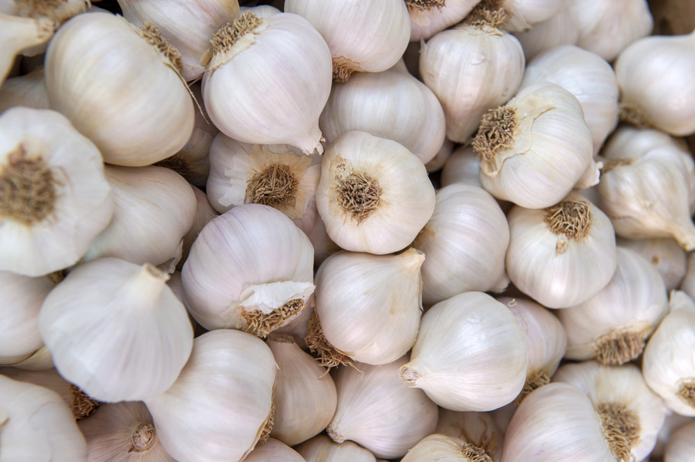 Overhead photo of bulbs of fresh garlic